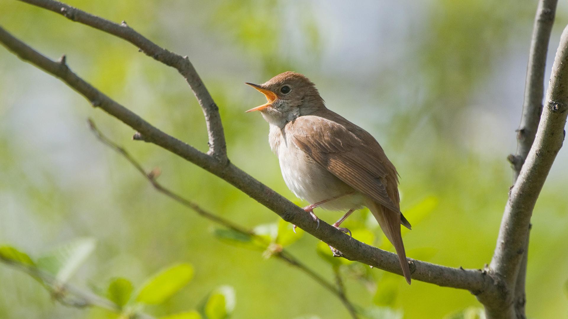 Фото: Frank Sommariva/imageBROKER.com/globallookpress.com