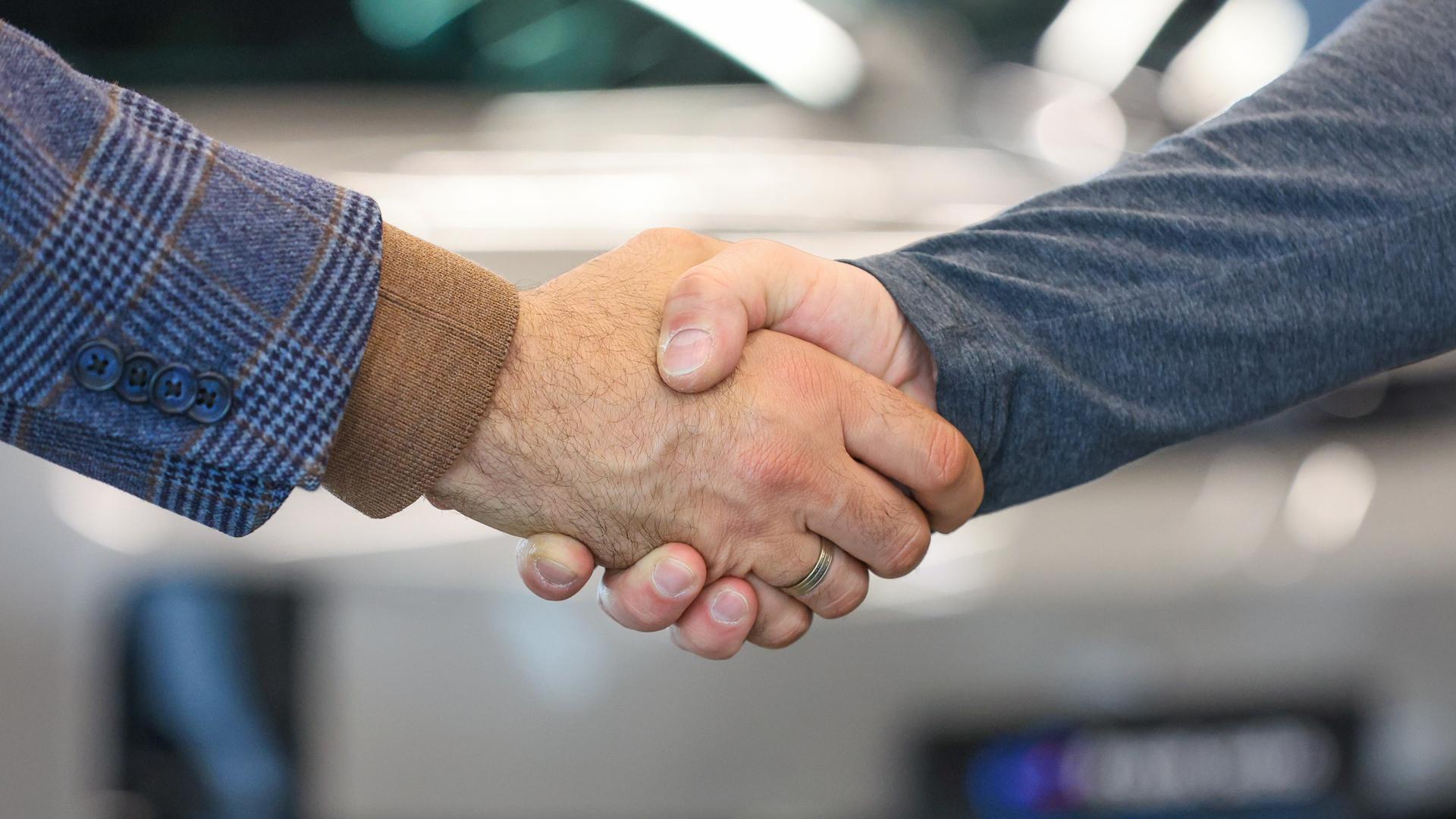 Фото: Shatokhina Natalia/globallookpress.com