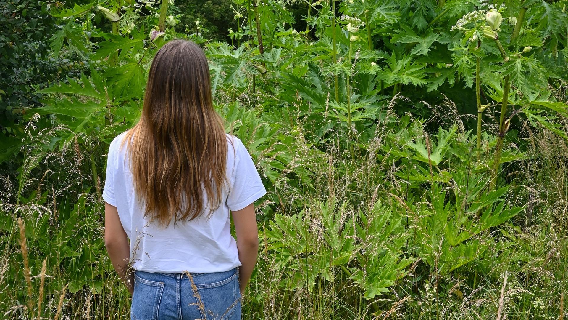 Фото: Patrick Pleul/globallookpress.com