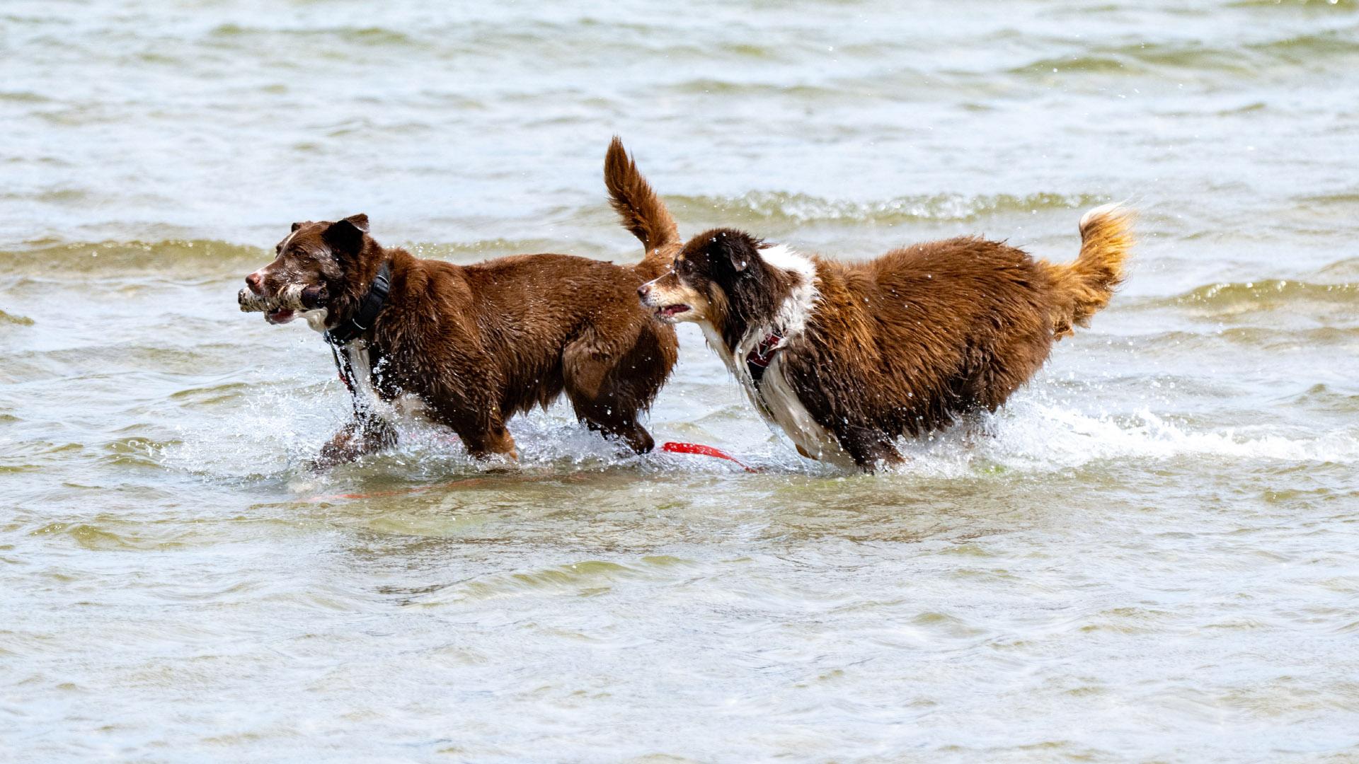 Фото: Stefan Sauer/globallookpress.com