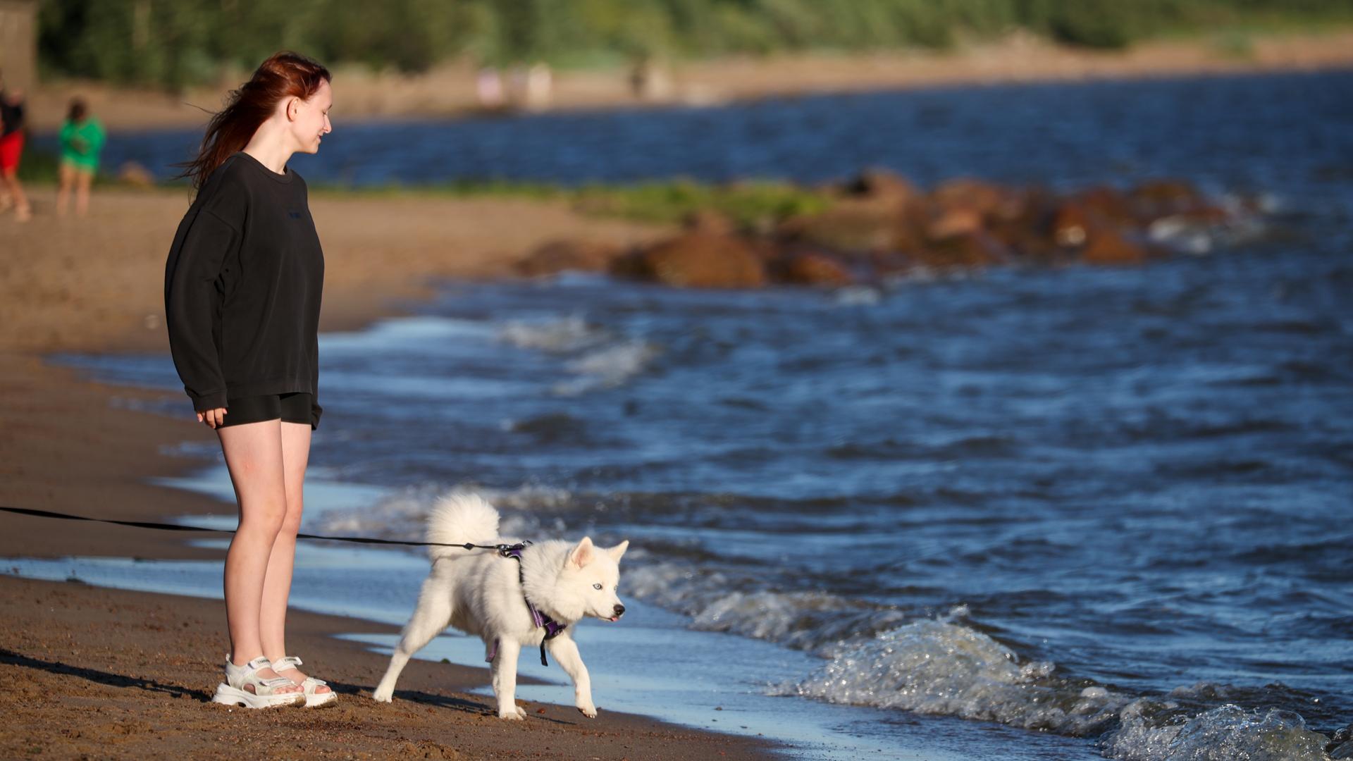 Фото: Belkin Alexey/globallookpress.com