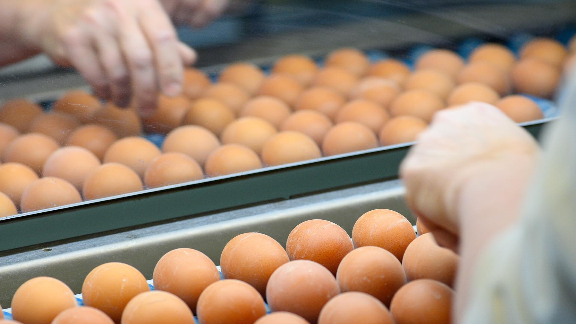 Фото: Klaus-Dietmar Gabbert/globallookpress.com