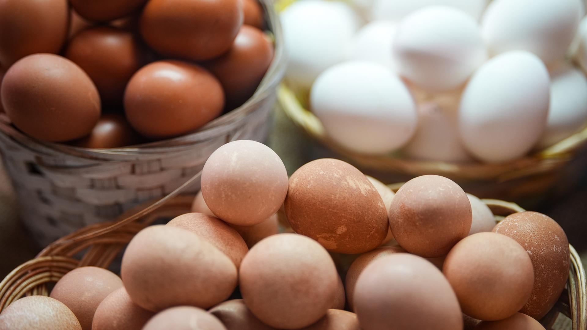 Фото: ИЗВЕСТИЯ/Сергей Лантюхов