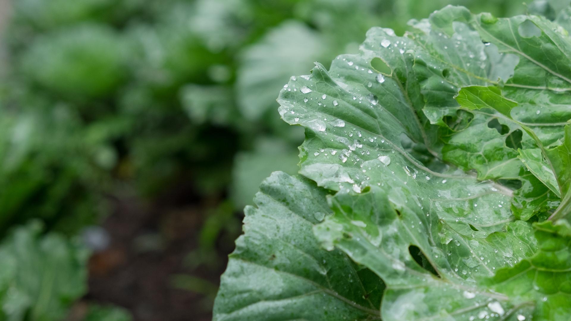 Фото: freepik.com/tulyawat01