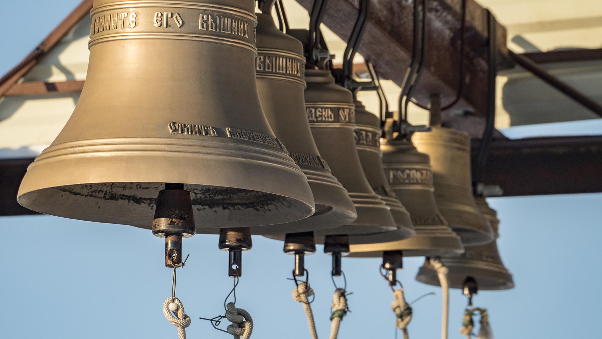 Фото: Serguei Fomine/globallookpress.com