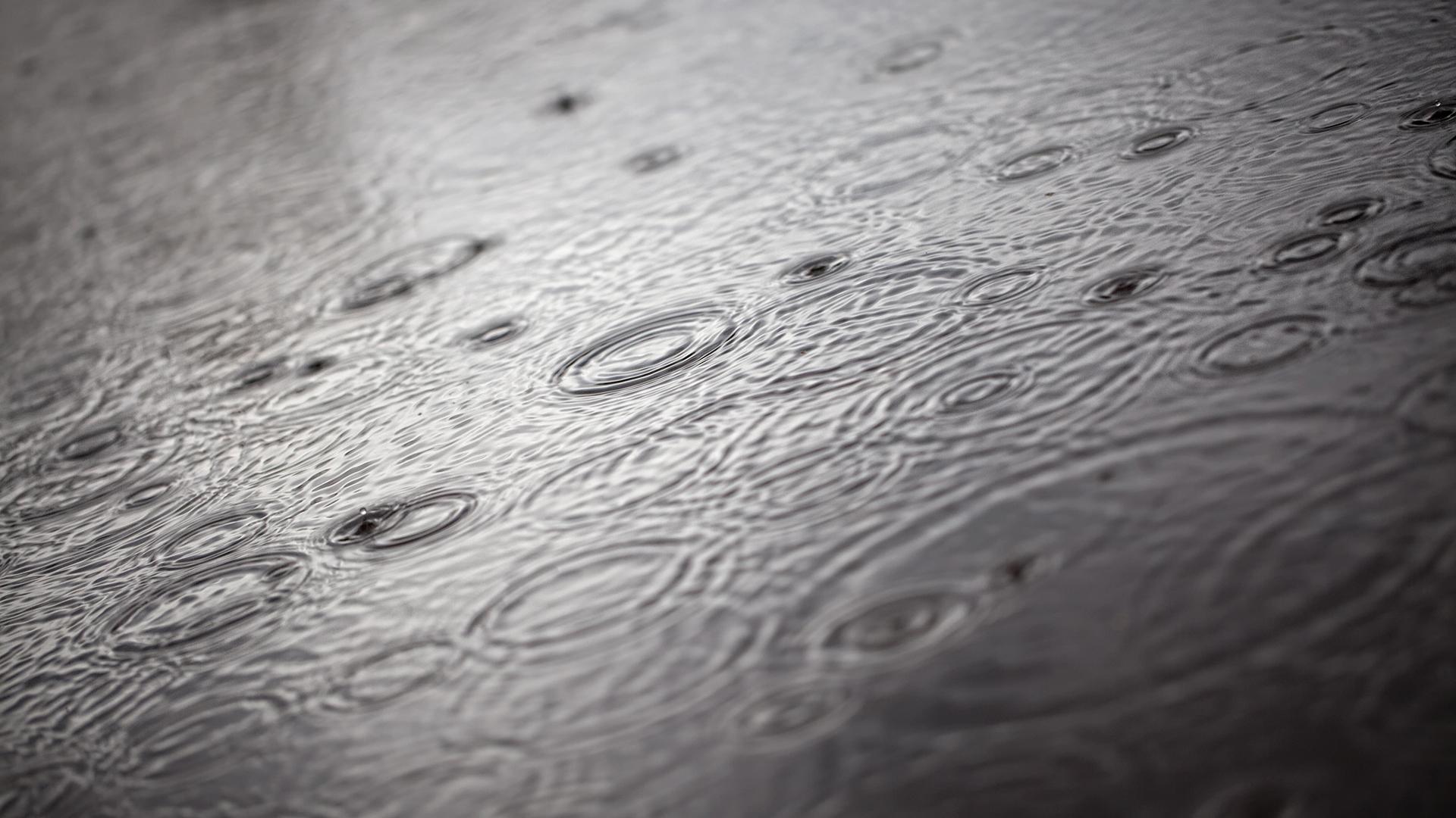 Фото: Heinz-Dieter Falkenstein/globallookpress.com