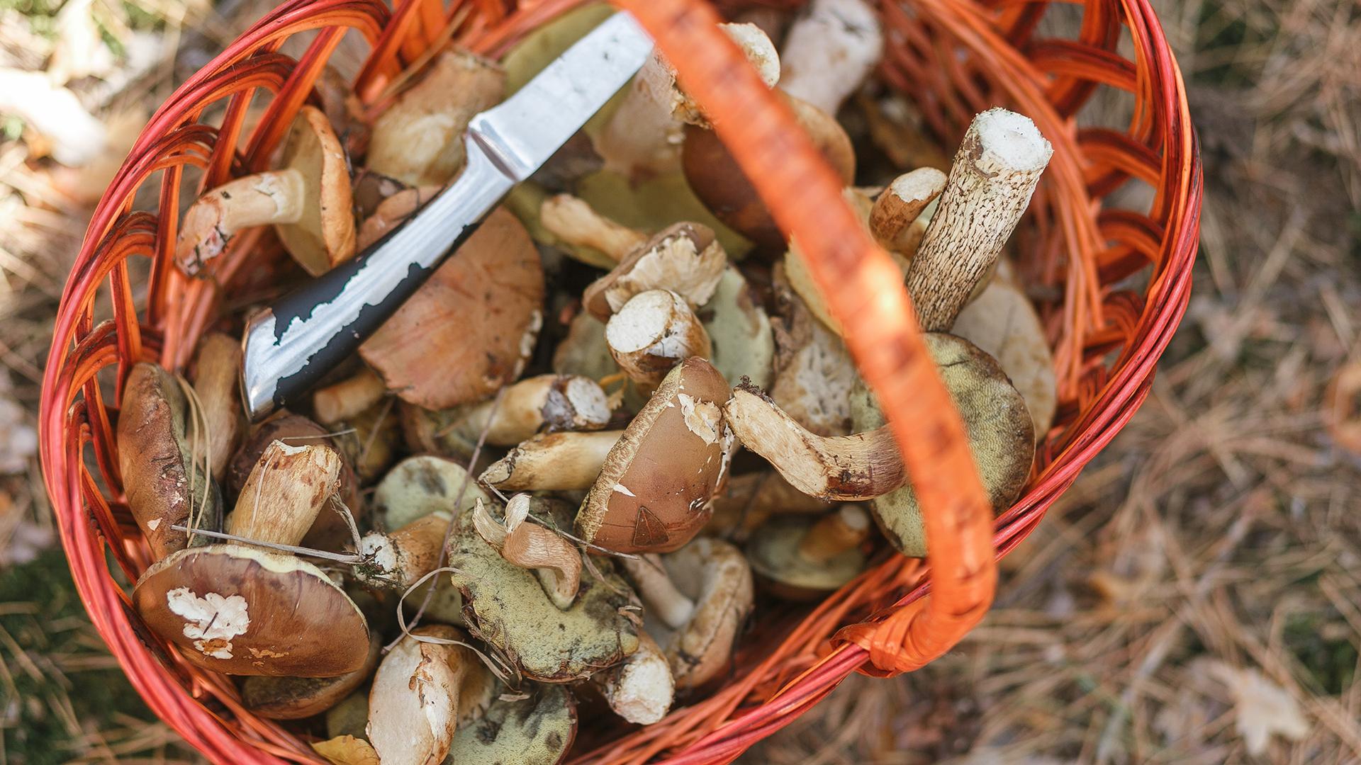 Фото: freepik.com