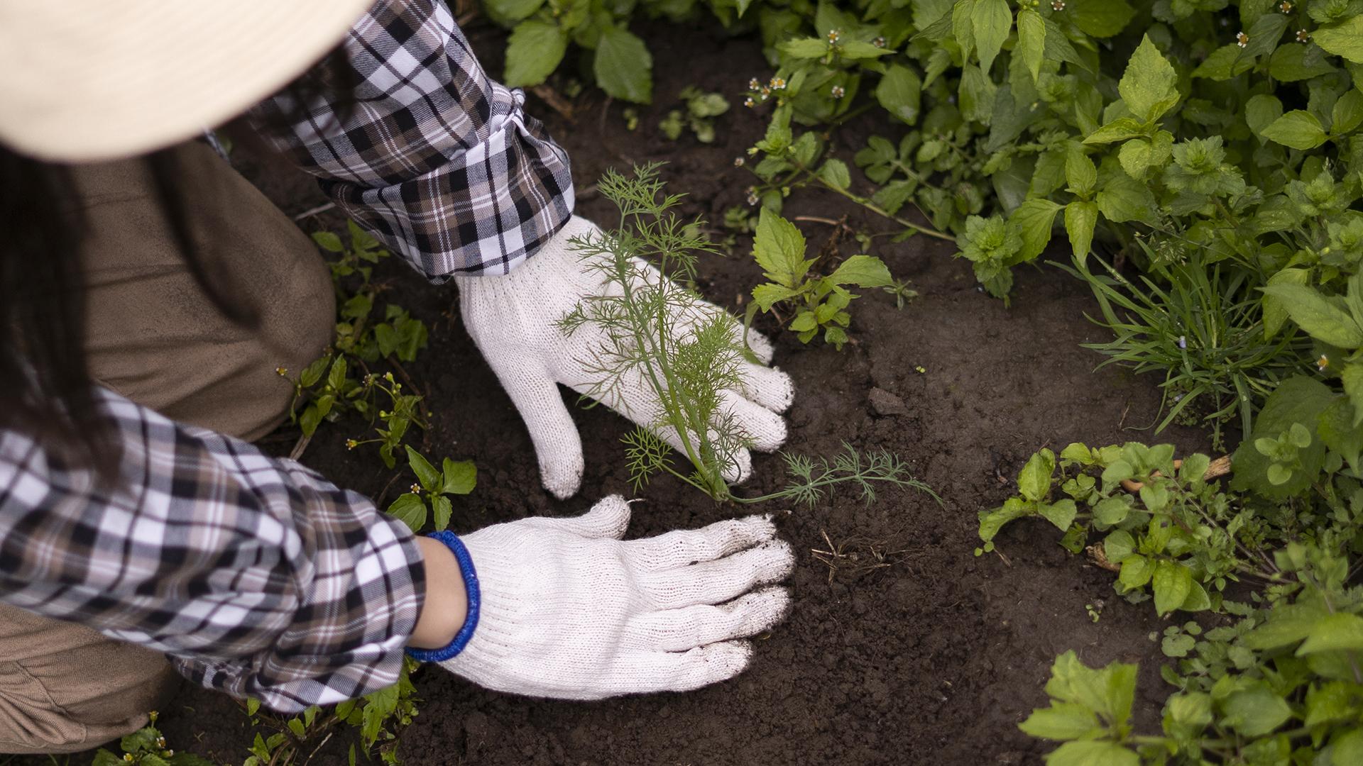 Фото: freepik.com