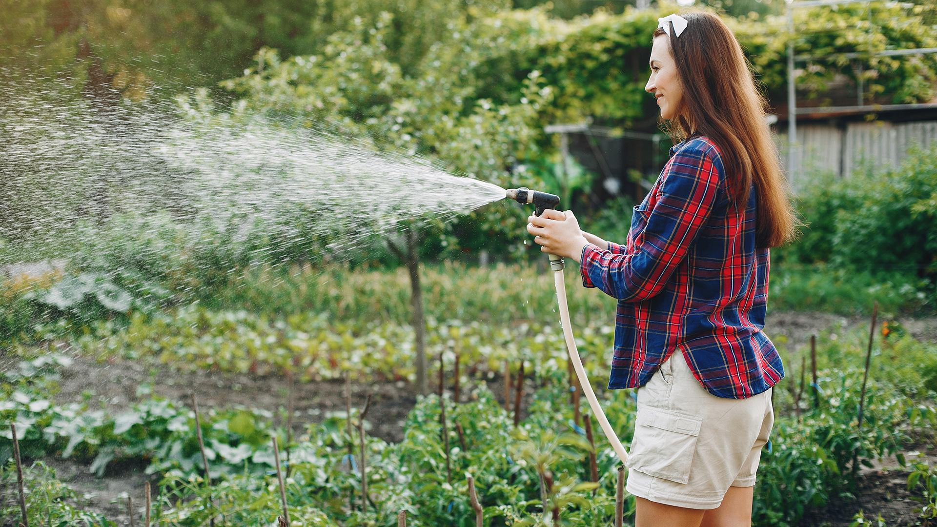 Фото: freepik.com/prostooleh