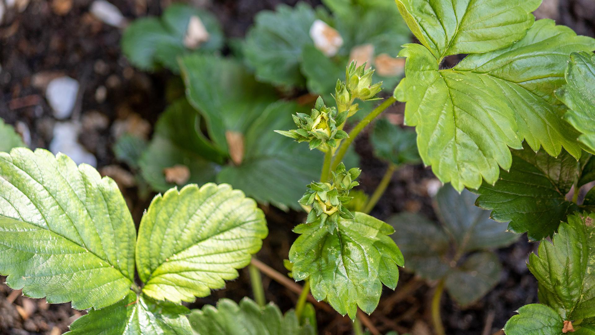 Фото: freepik.com/wirestock