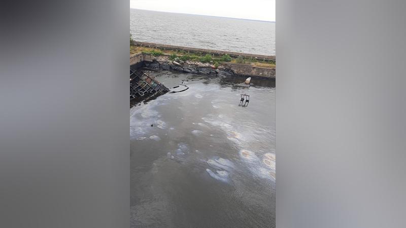 Фото: УТ МВД России по СЗФО