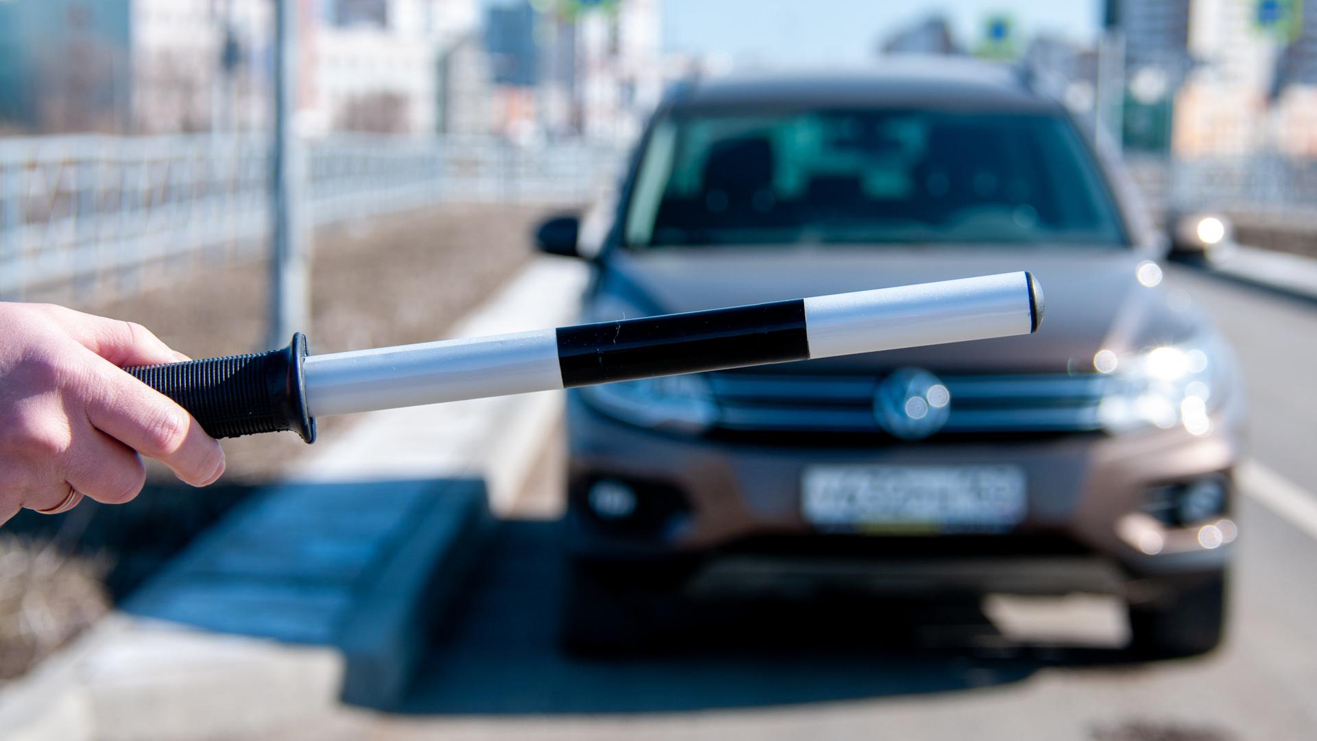 Фото: Svetlana Vozmilova/globallookpress.com