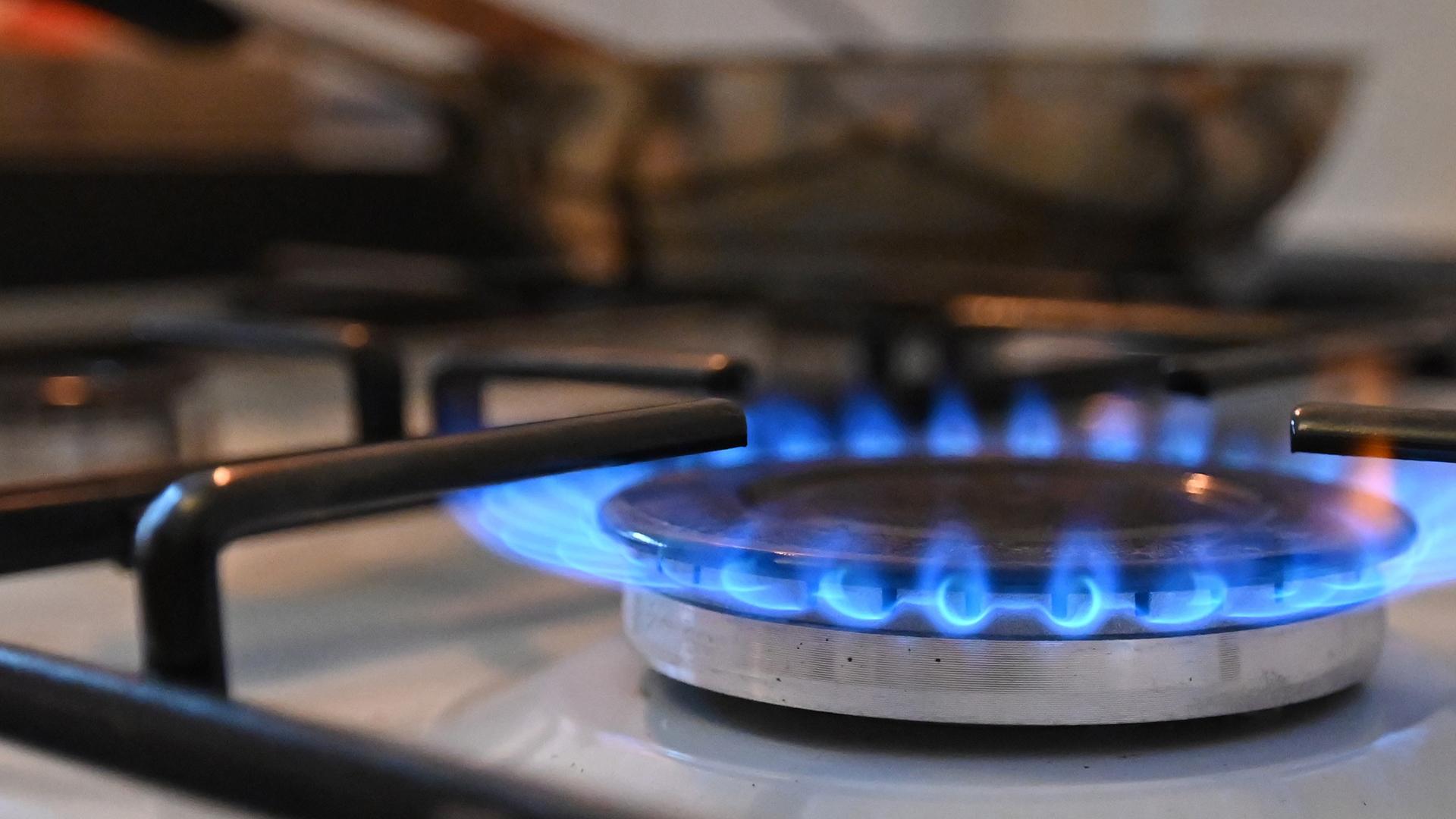 Фото: Anna Ross/globallookpress.com