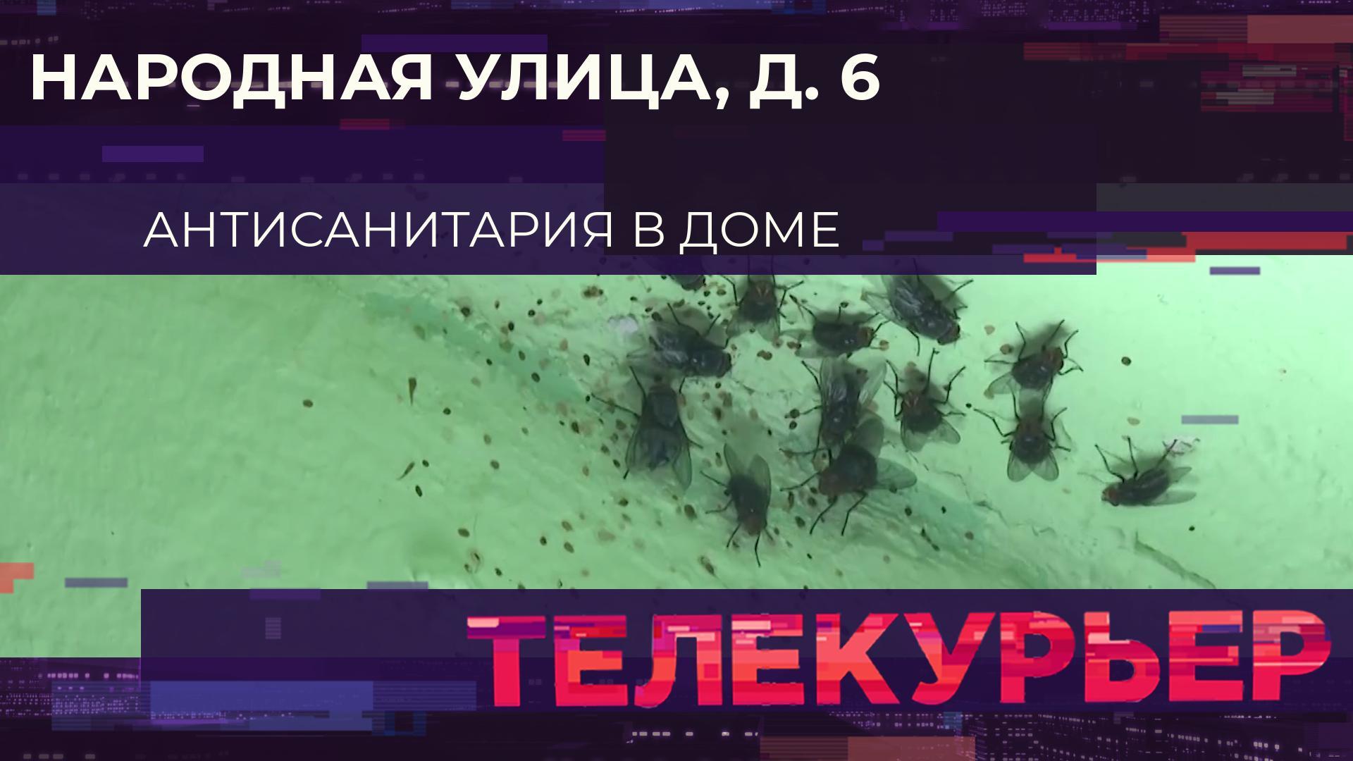 «Телекурьер» (29 июля 2025)
