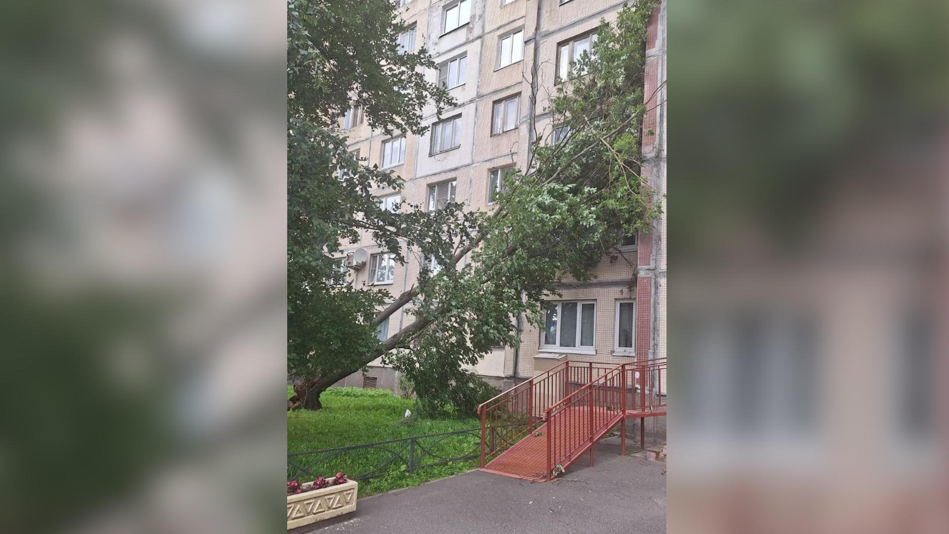 Фото: t.me/Megapolisonline