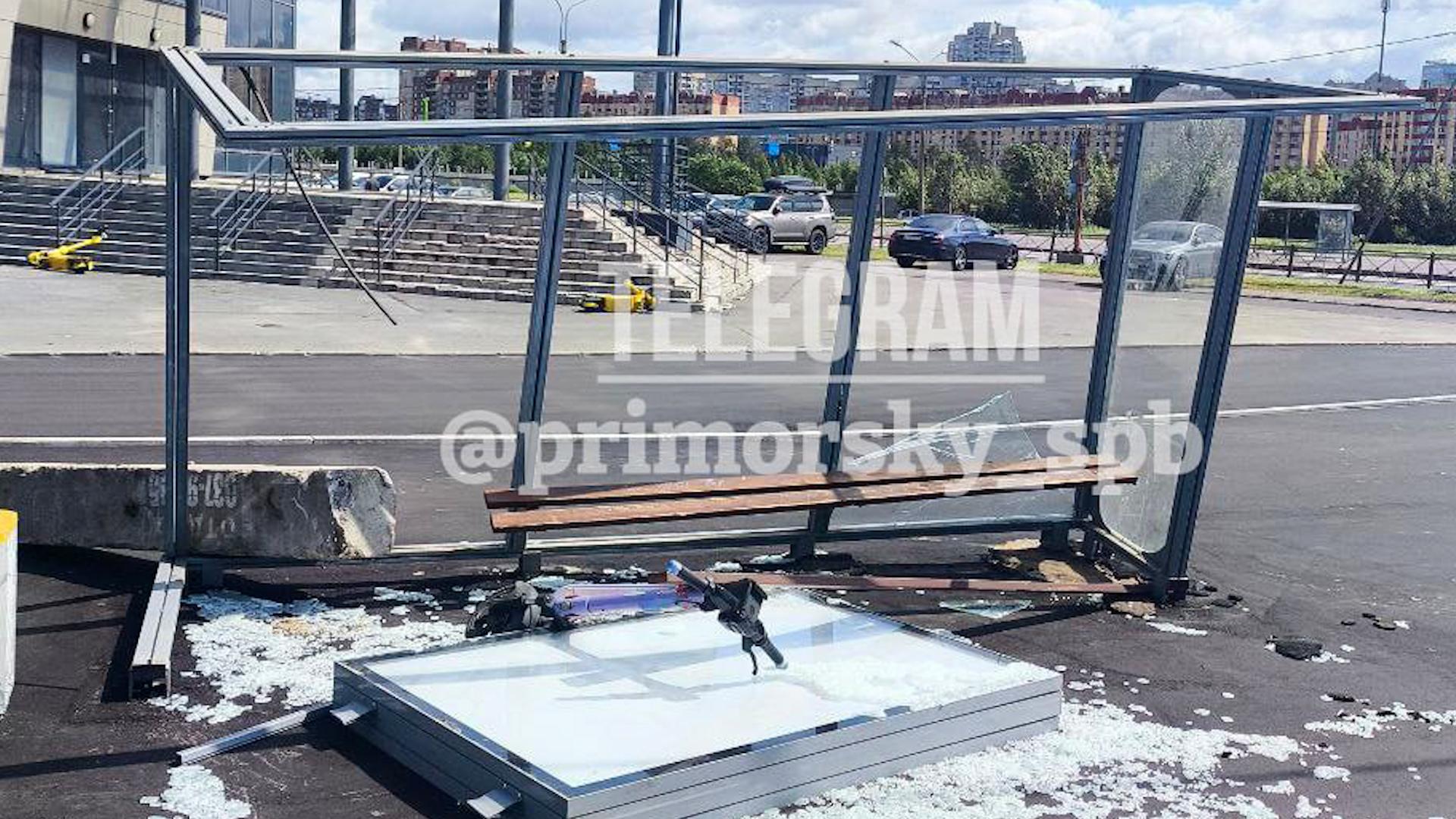 Фото: t.me/primorsky_spb