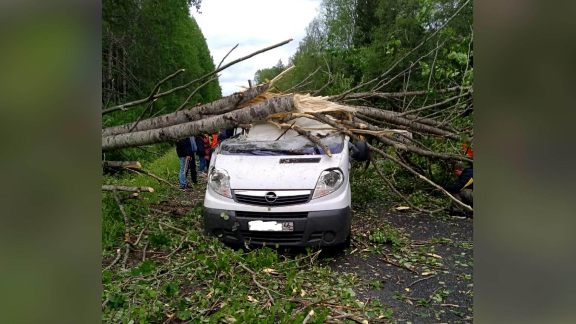 Фото: t.me/residentsleep3r