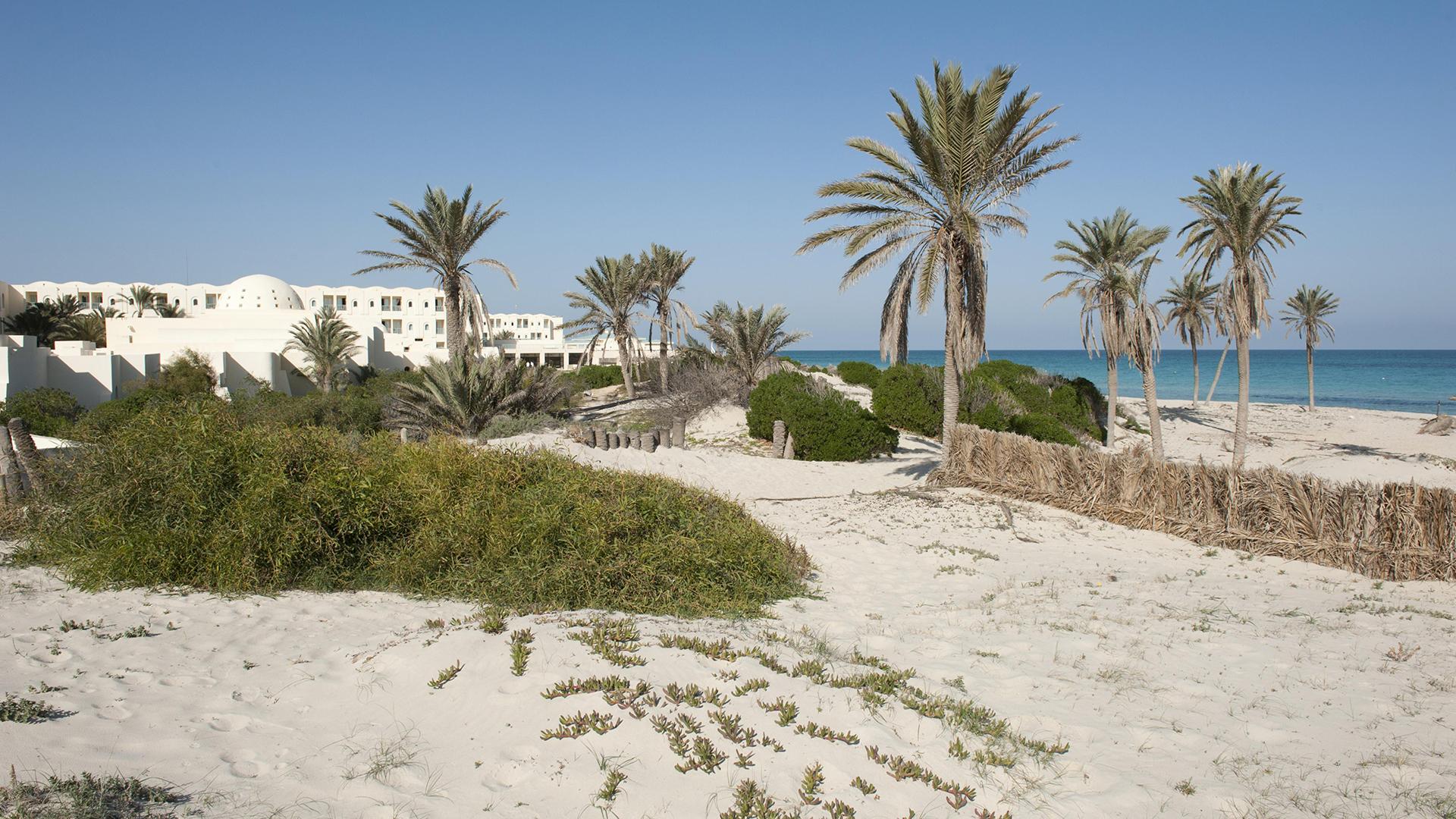 Фото: Stefan Auth/globallookpress.com