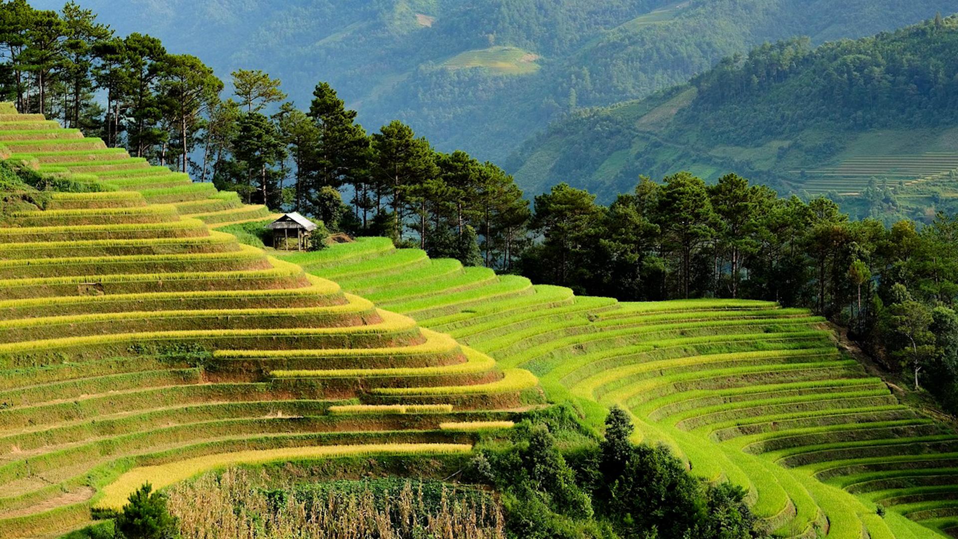 Фото: pixabay.com