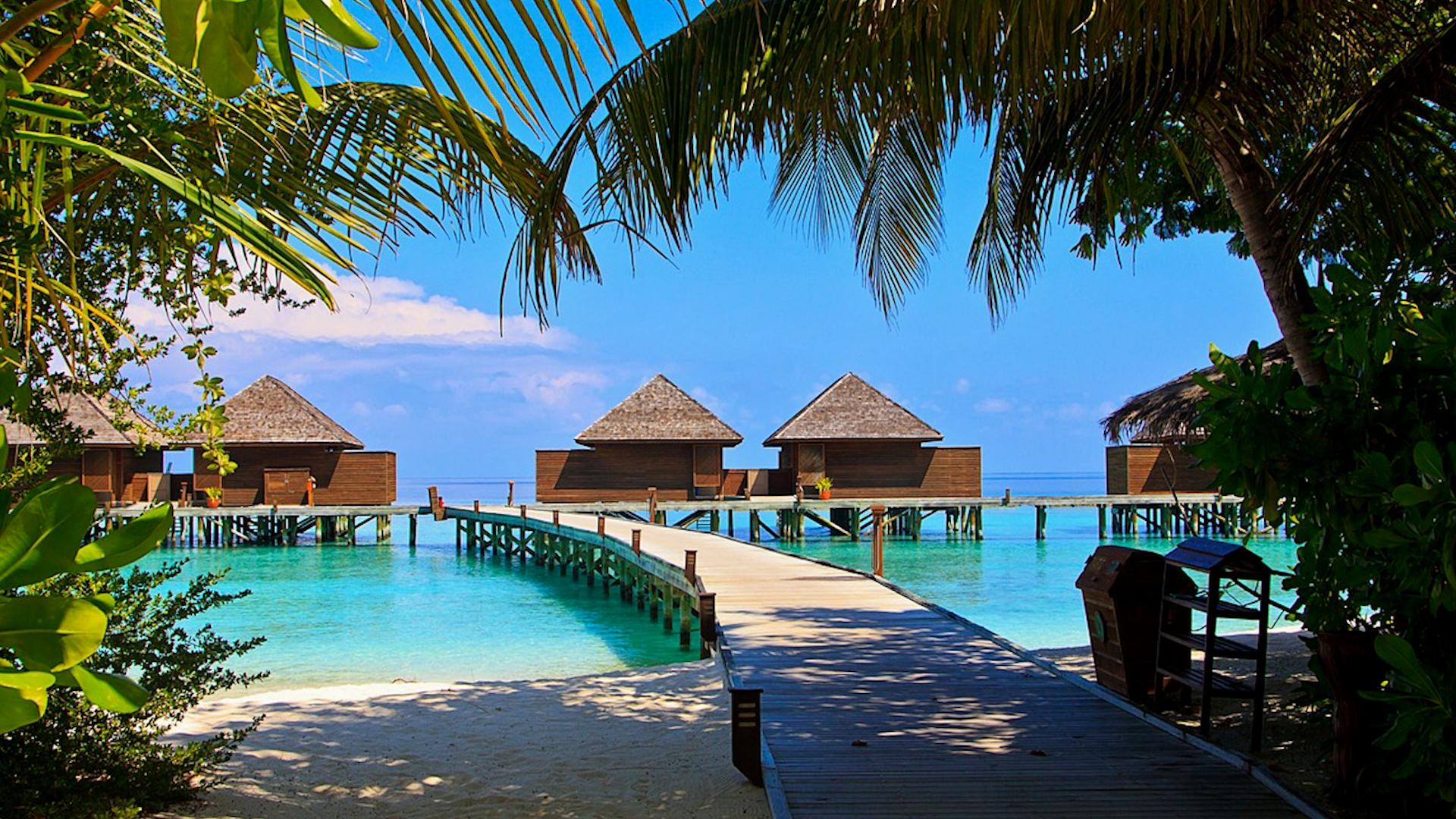 Фото: pixabay.com