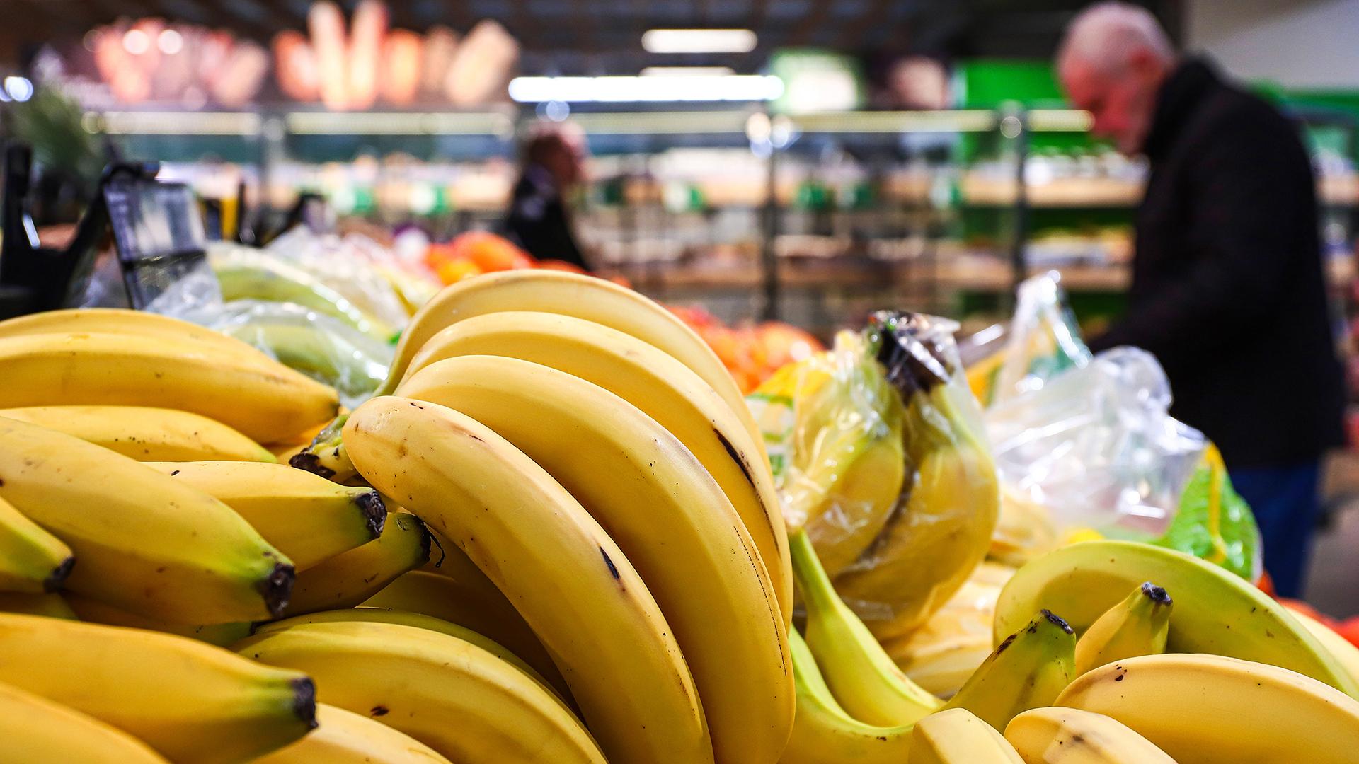 Фото: Razmik Zackaryan/globallookpress.com