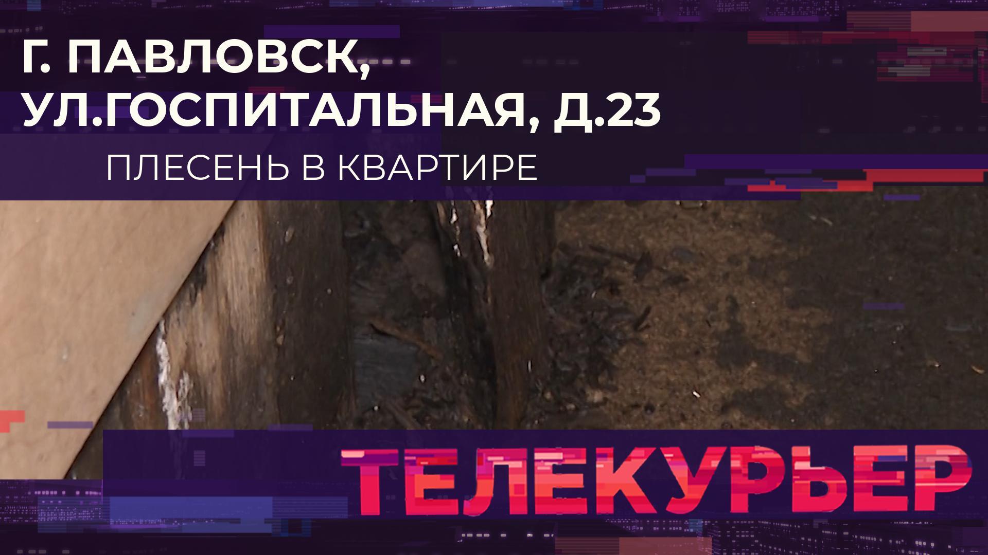 «Телекурьер» (1 августа 2025)