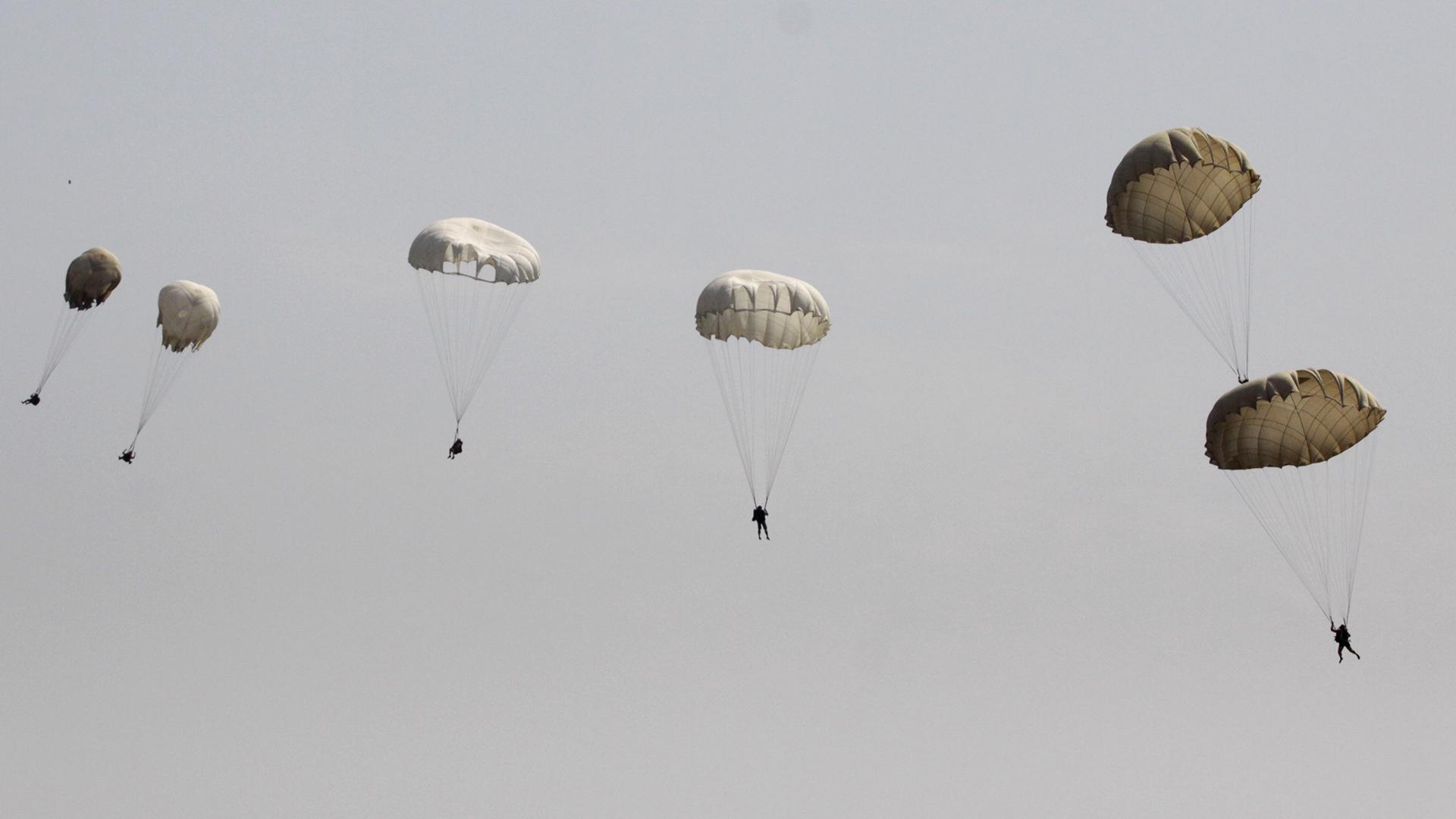 Фото: Nikolay Titov/globallookpress.com