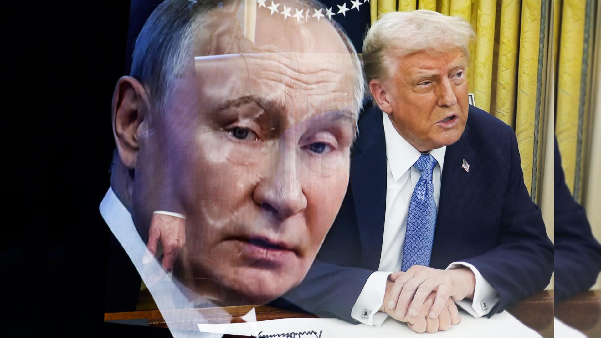 Фото: Artem Priakhin/globallookpress.com