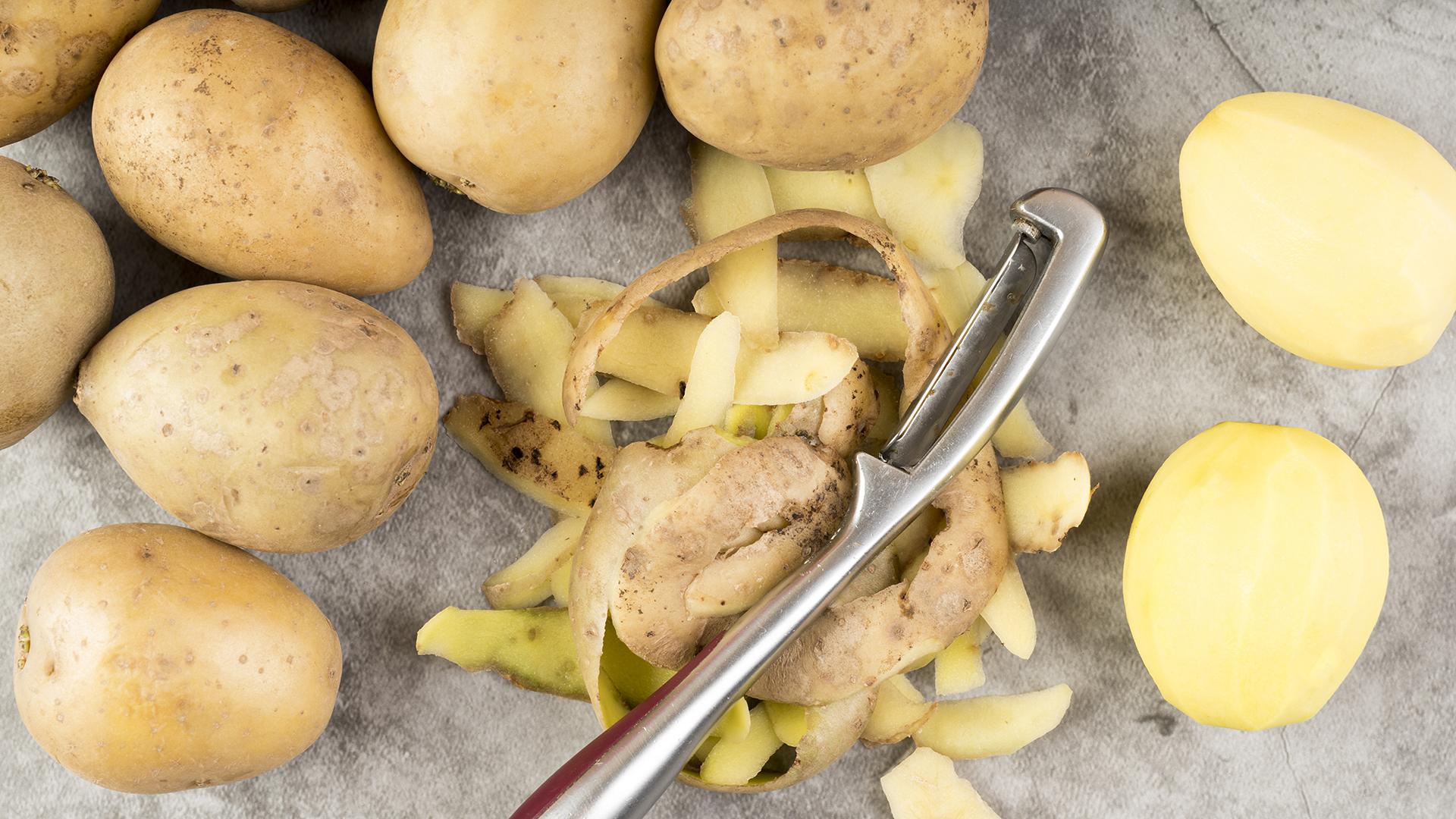 Фото: freepik.com