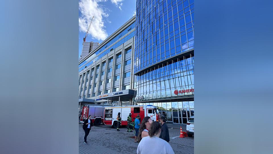 Фото: t.me/LisaBasilioCh