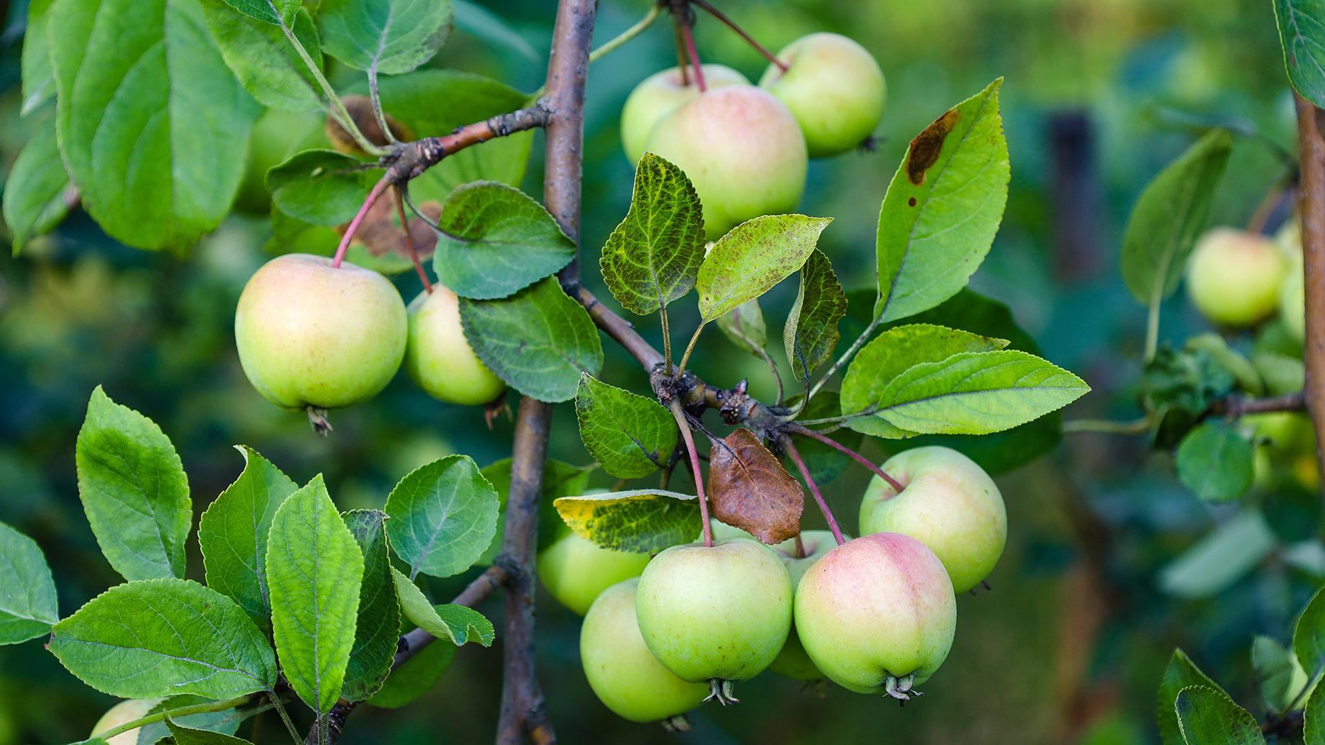 Фото: Elena Mayorova/globallookpress.com