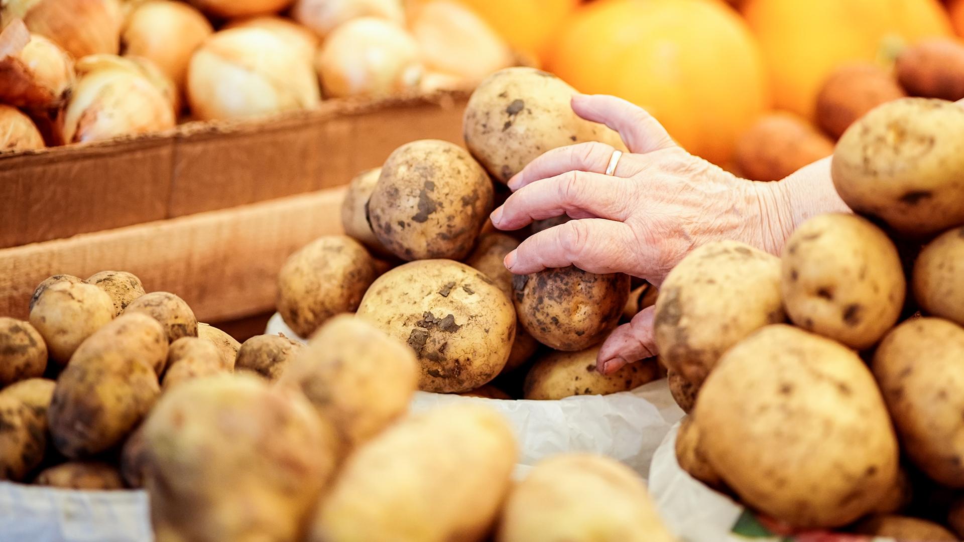 Фото: ИЗВЕСТИЯ/Сергей Лантюхов