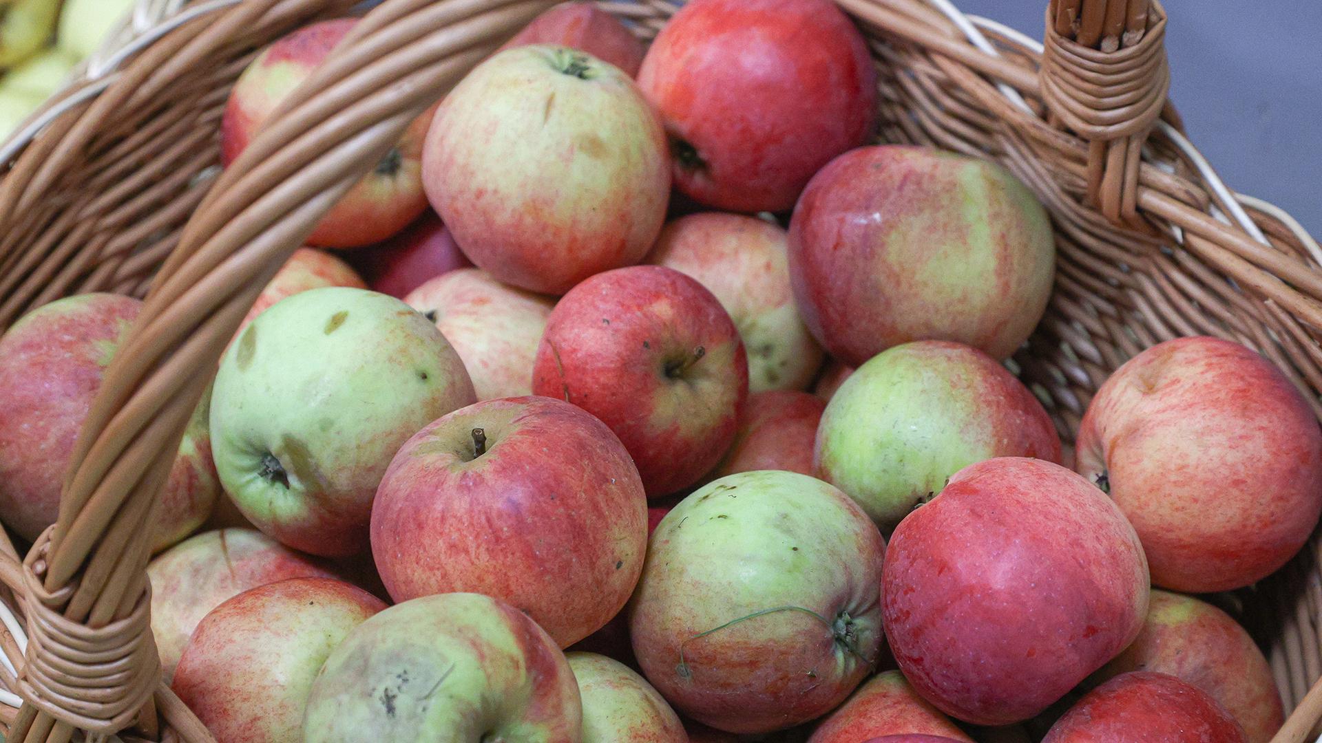 Фото: Bulkin Sergey/globallookpress.com