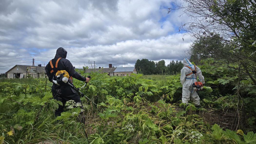 Фото предоставлено пресс-службой ВООП