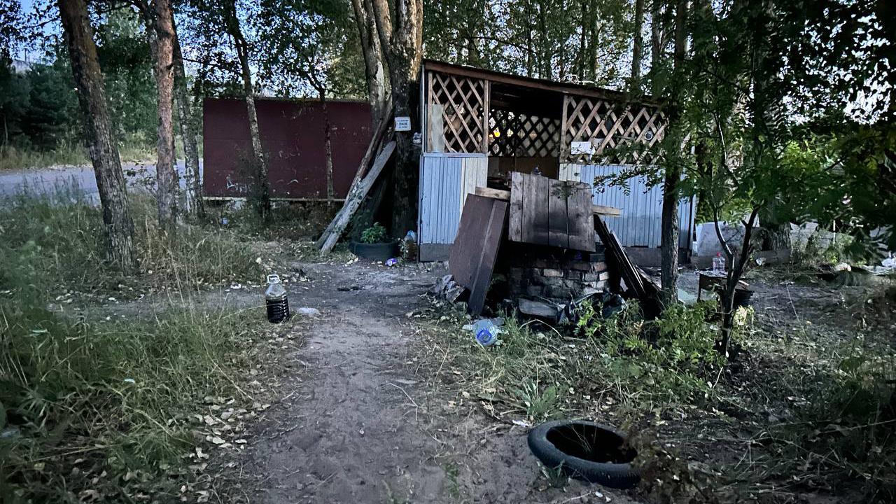 Фото: t.me/sledcom47