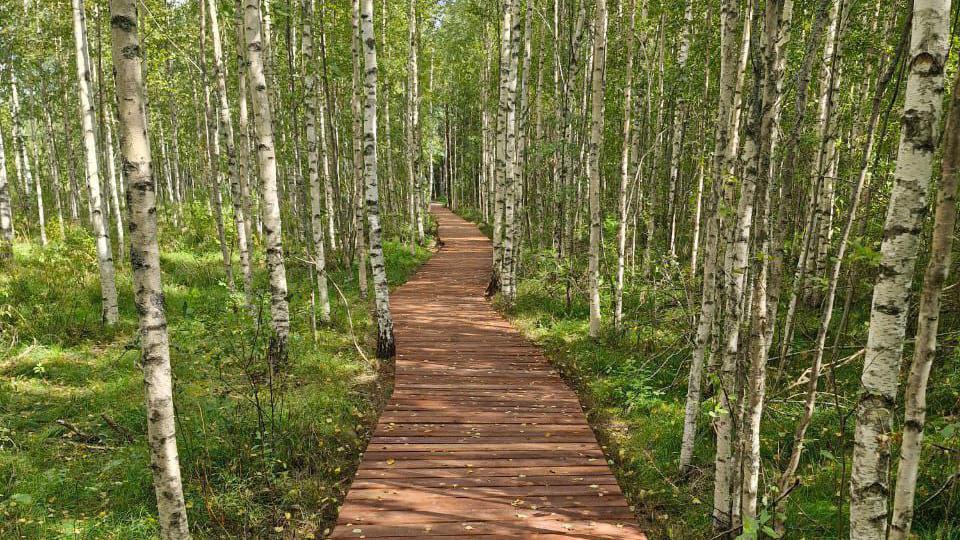 Фото: t.me/lenobladminka