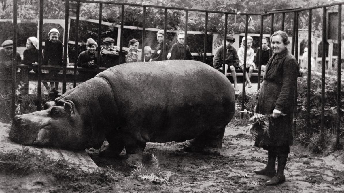 Фото: пресс-служба Ленинградского зоопарка