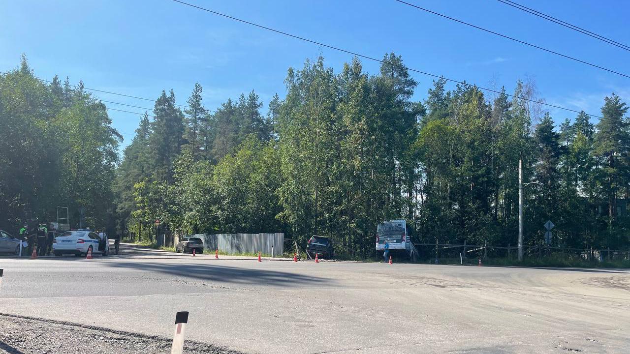 Фото: соцсети