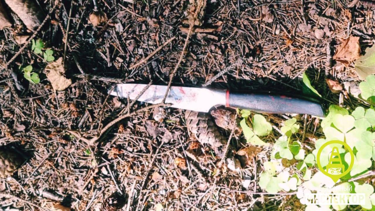 Фото: t.me/newsdorin