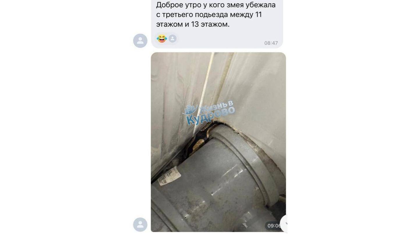 Фото: t.me/telekudrovo