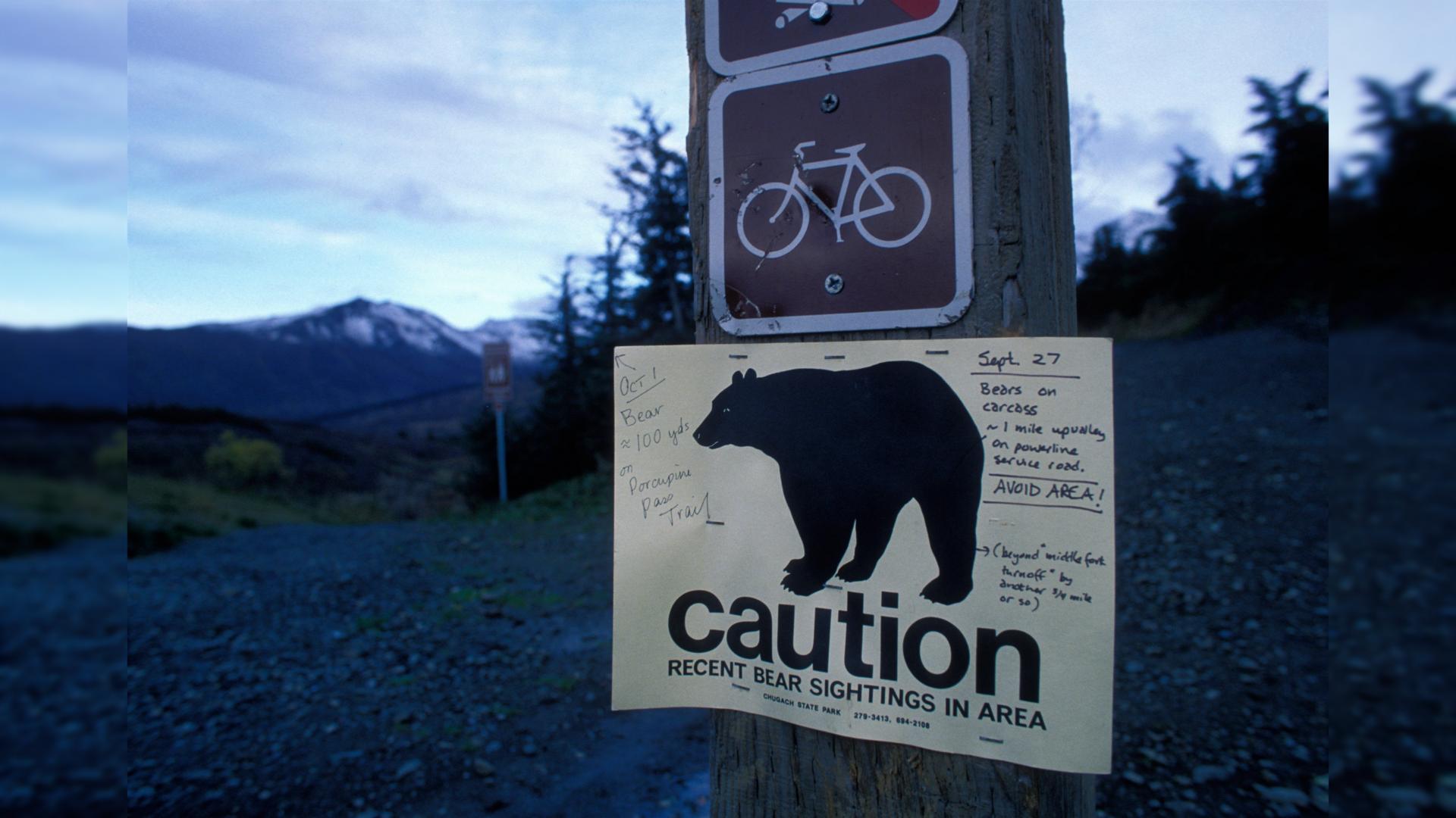 Окрестности Анкориджа / Фото: Paul Souders / DanitaDelimont.co/globallookpress.com