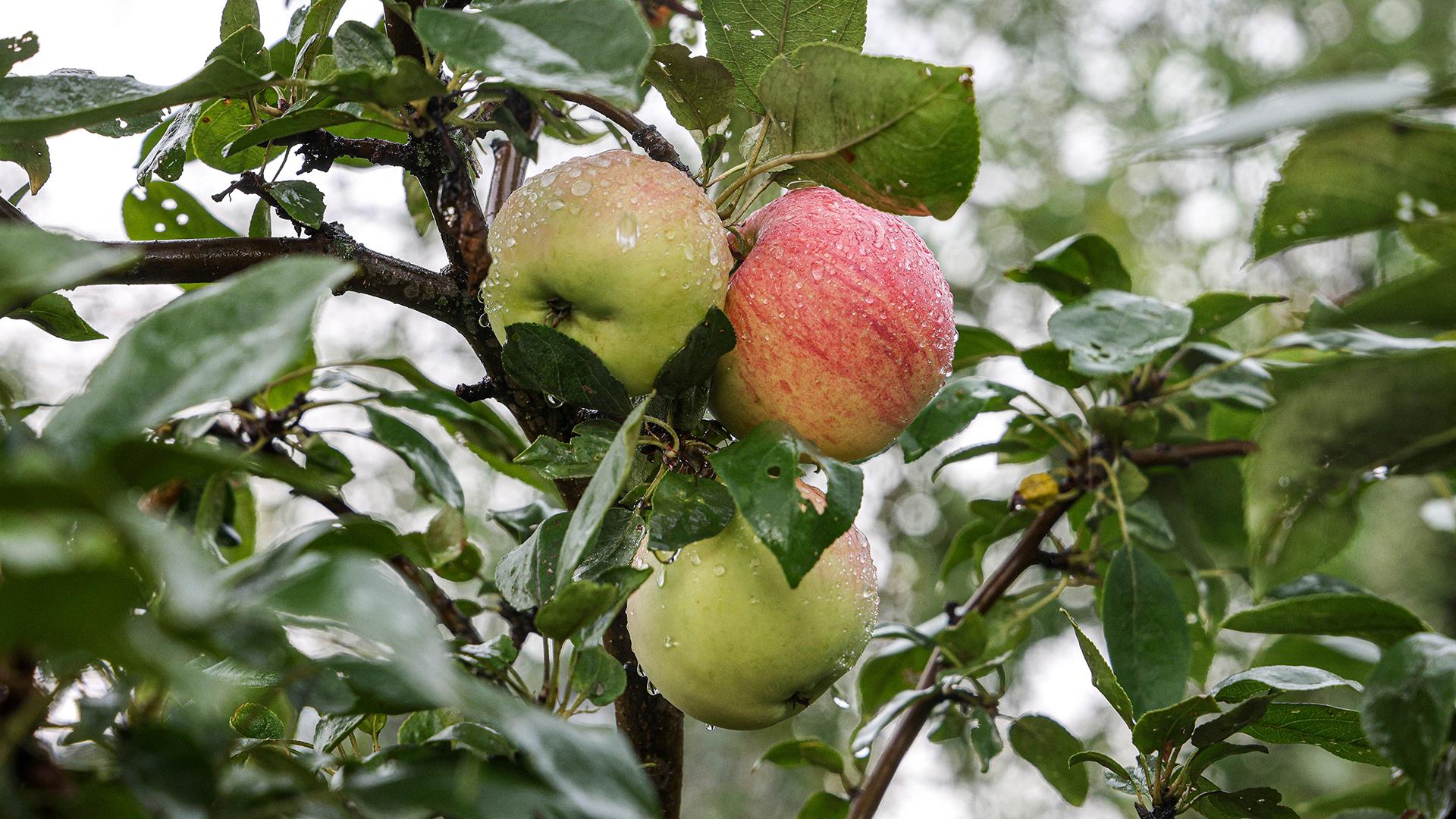 Фото: Andrey Titov/globallookpress.com