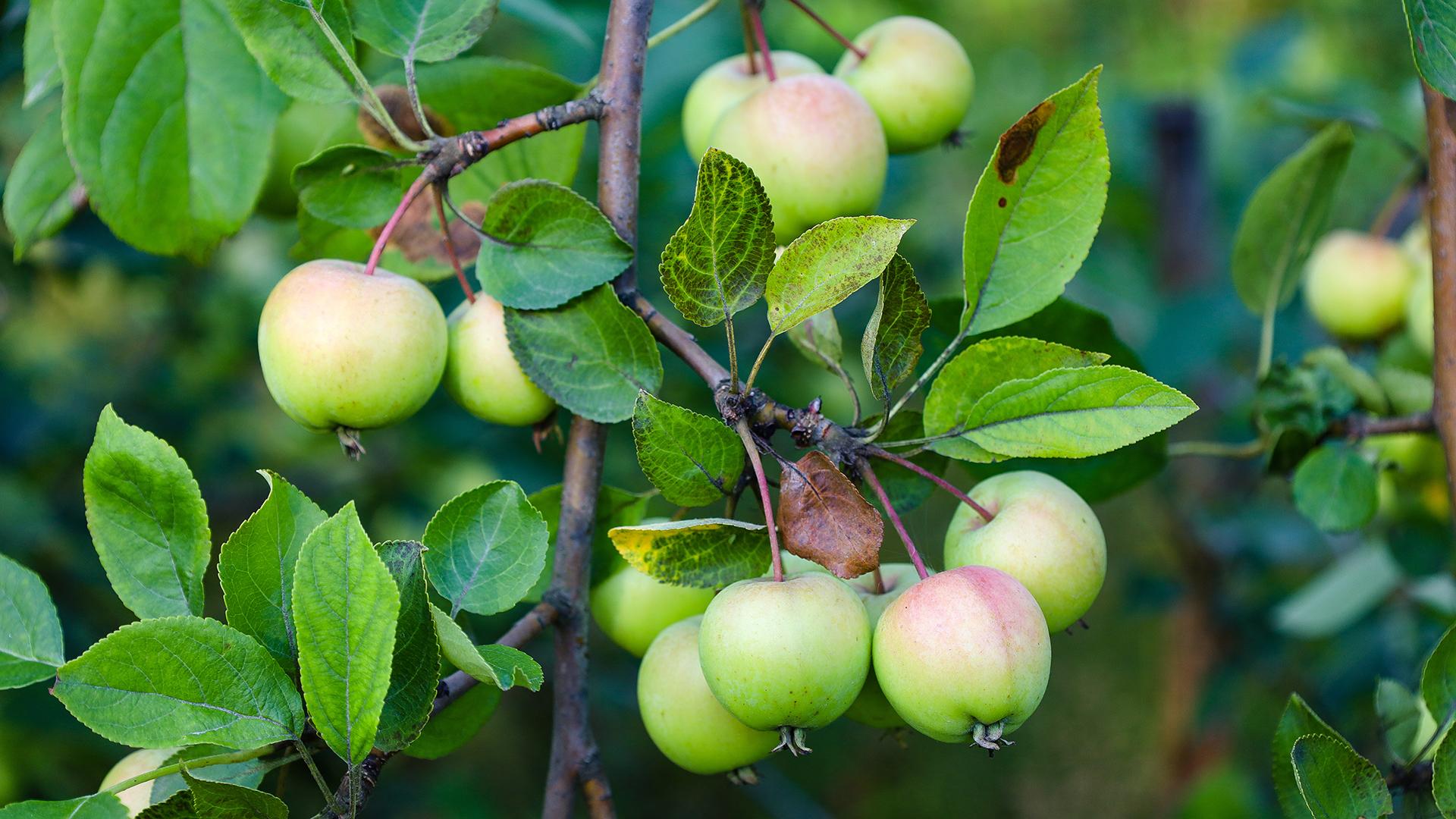 Фото: Elena Mayorova/globallookpress.com