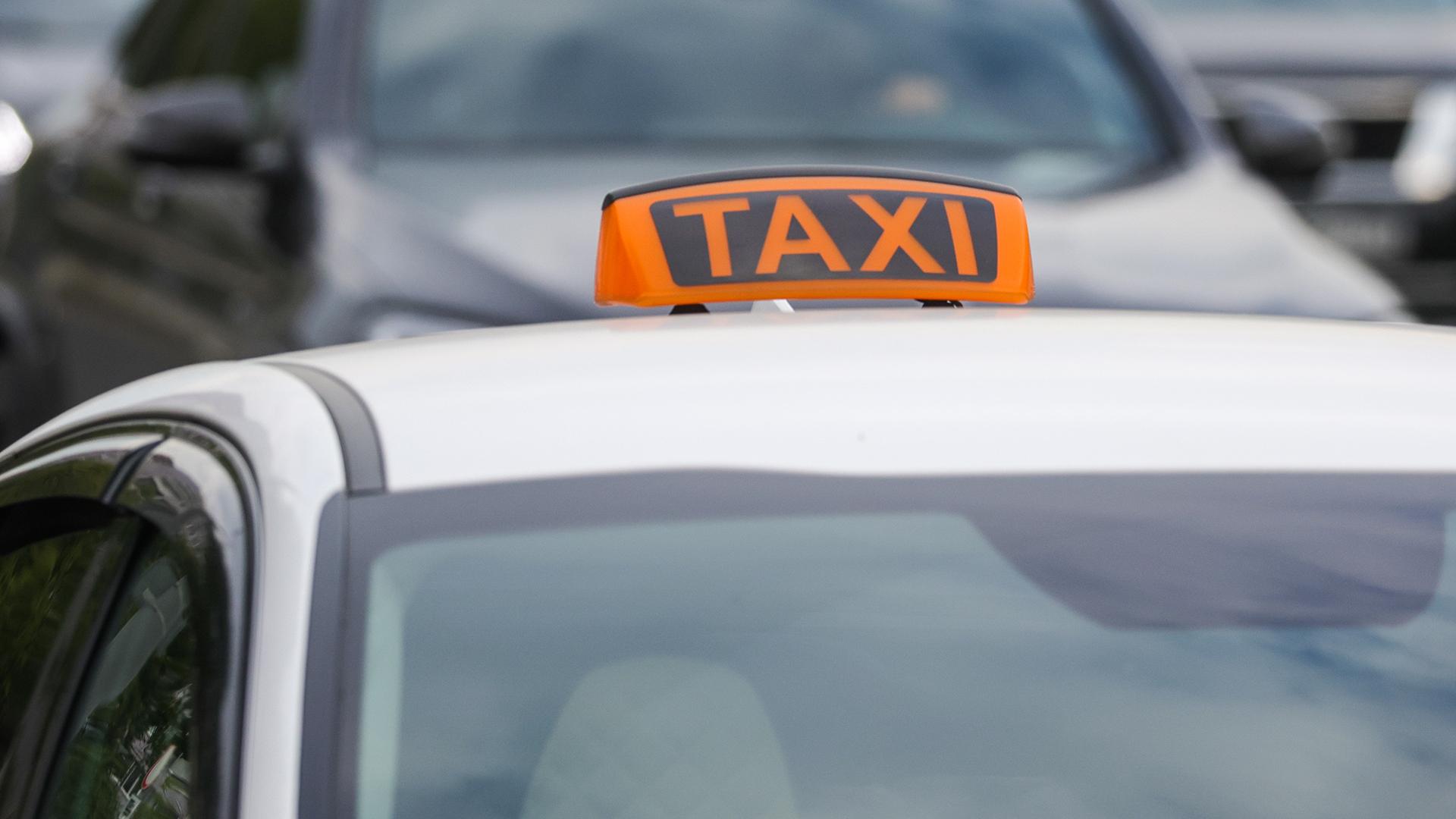 Фото: Shatokhina Natalia/globallookpress.com