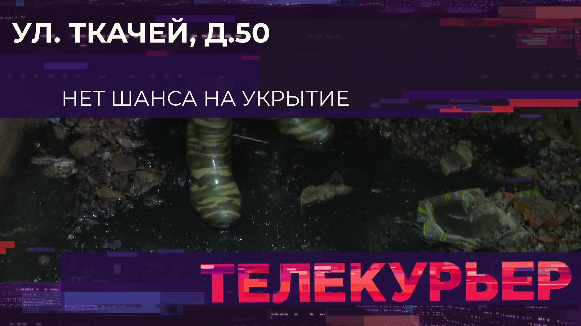 "Телекурьер" (21 августа 2025)