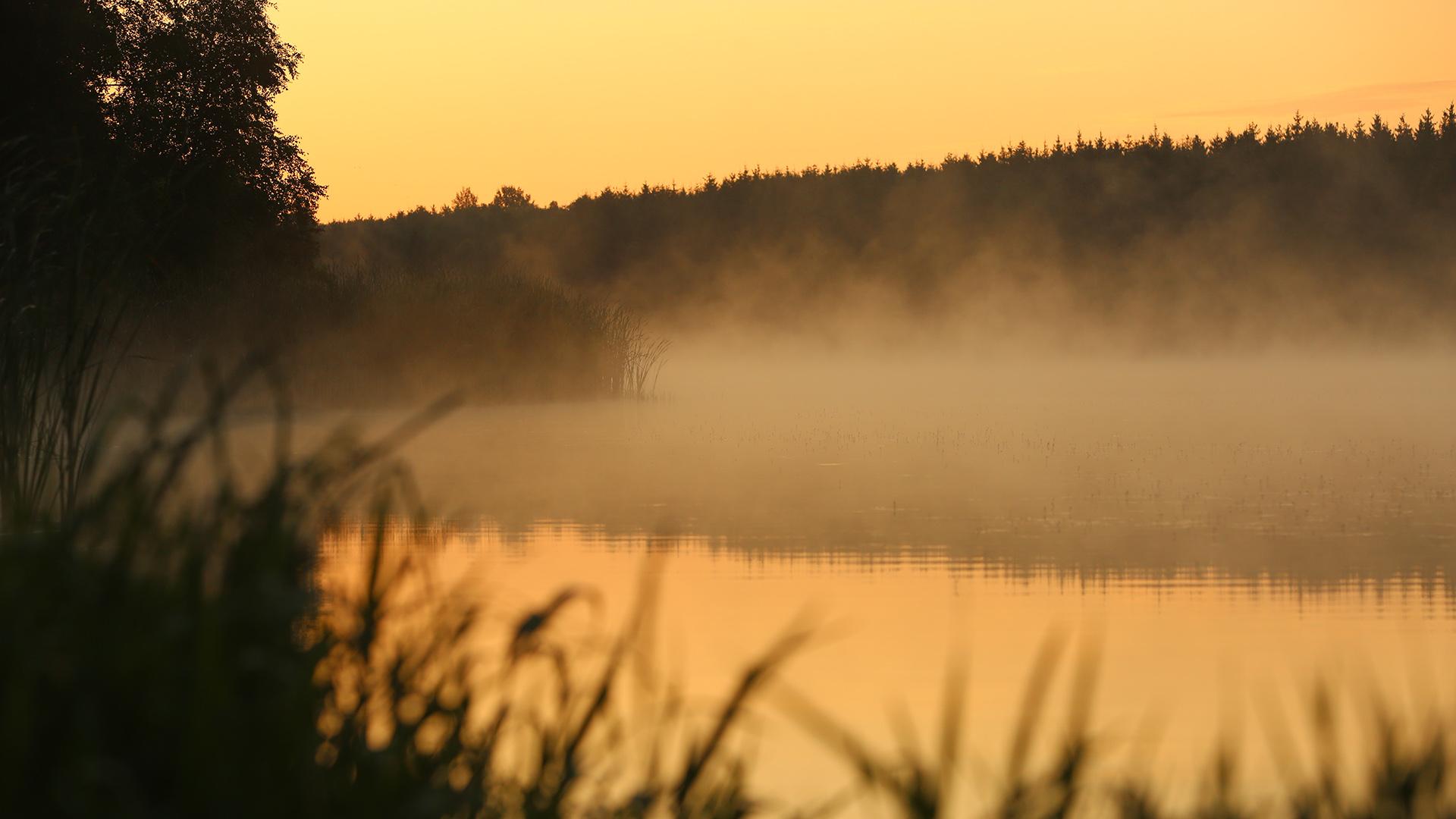 Фото: Matthias Bein/globallookpress.com