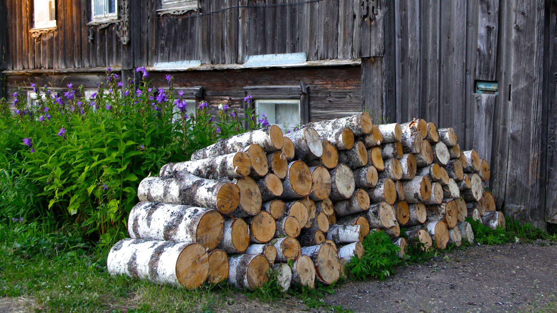 Фото: Aleksander Lyskin/globallookpress.com