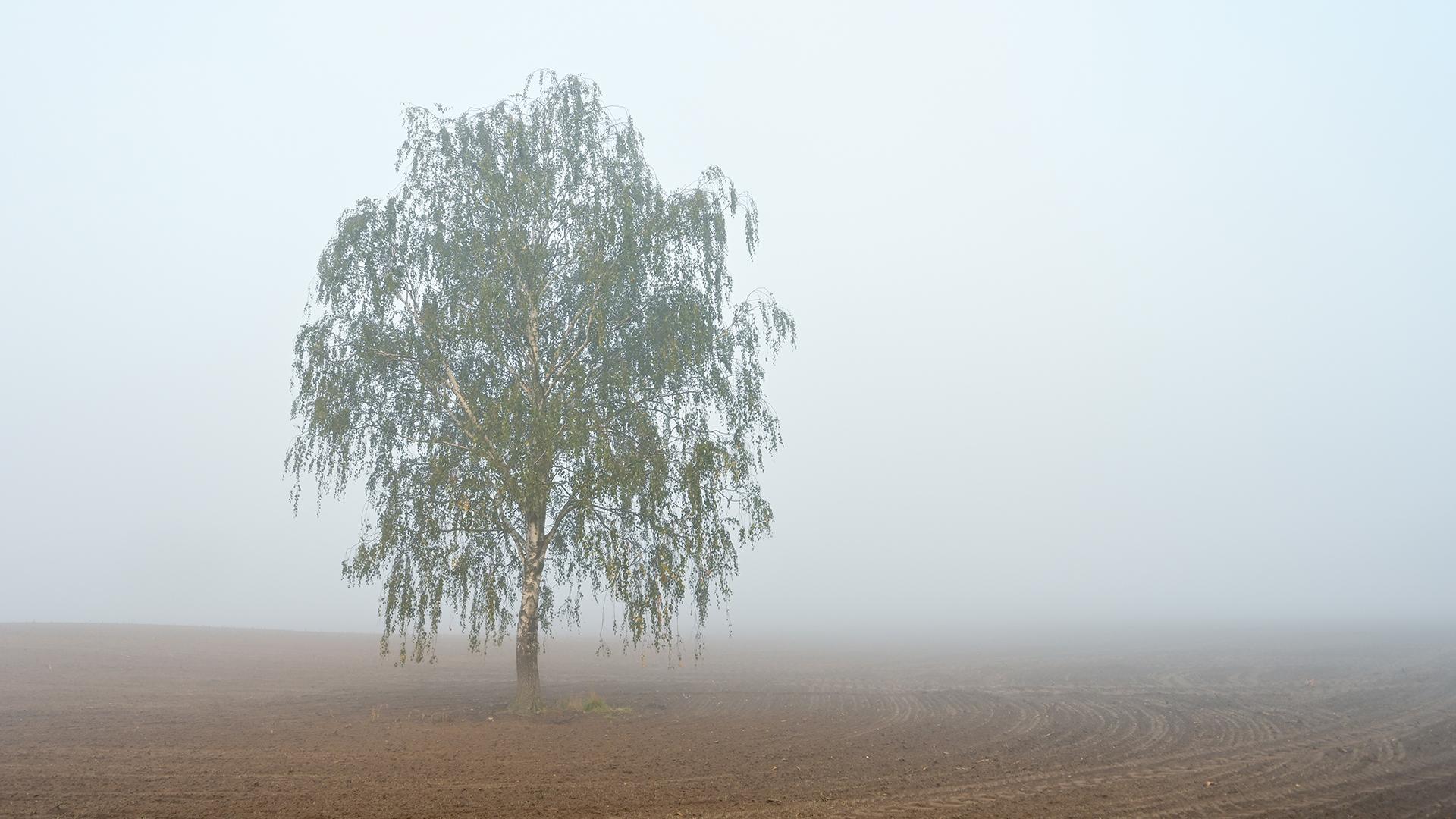 Фото: Patrick Pleul/globallookpress.com