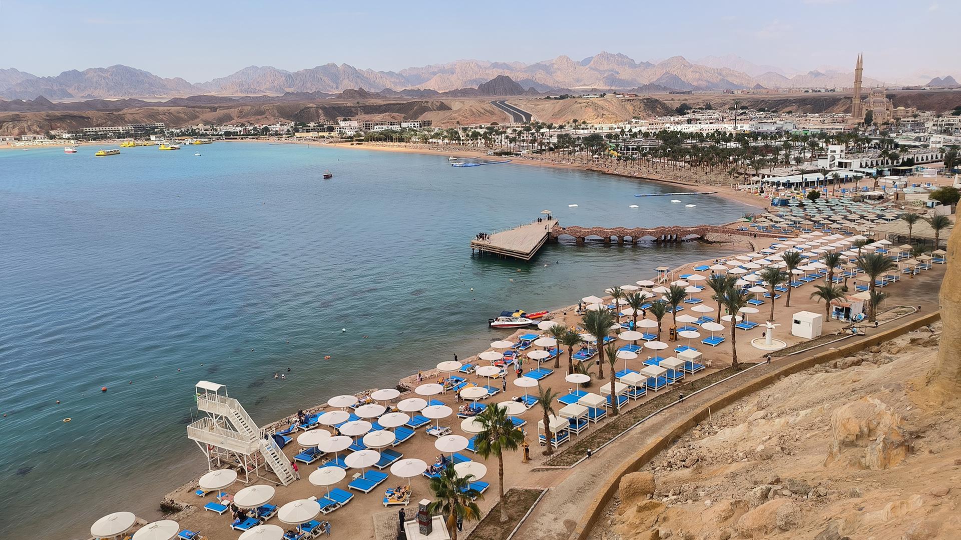 Фото: Maksim Konstantinov/globallookpress.com