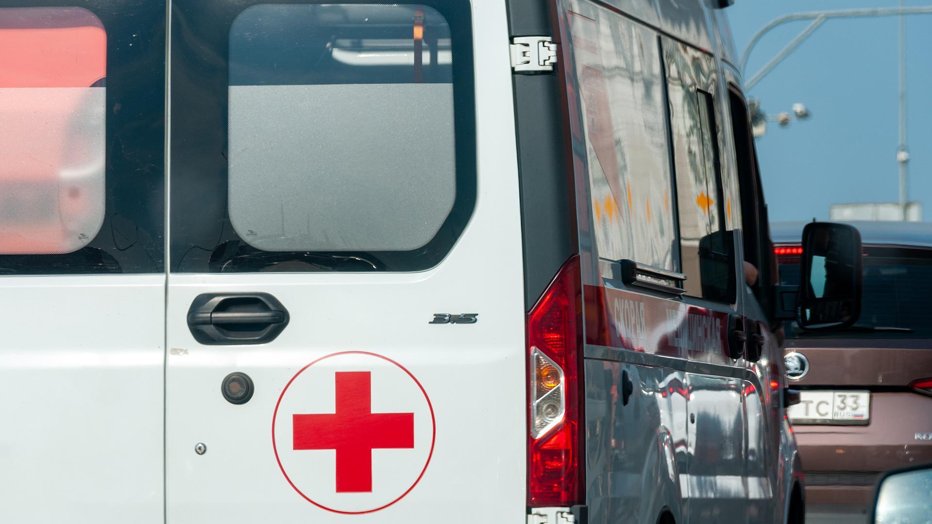 Фото: Svetlana Vozmilova/globallookpress.com